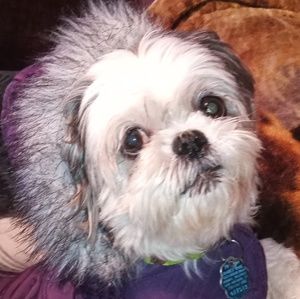 Meet your Posher, Tracy